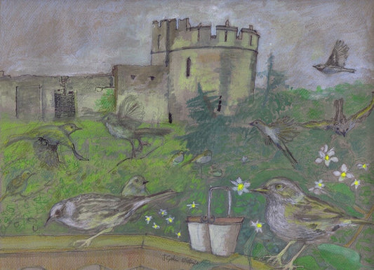 The Dunnocks and Chepstow Castle