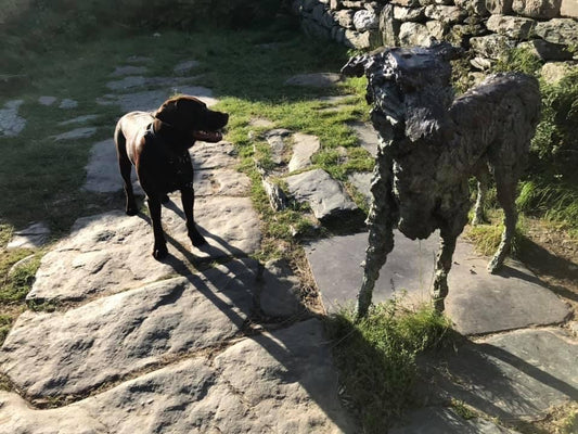 Gelert a Gelert A5 Print