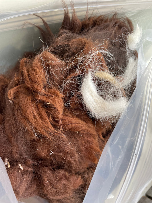 Brown  Alpaca Fleece