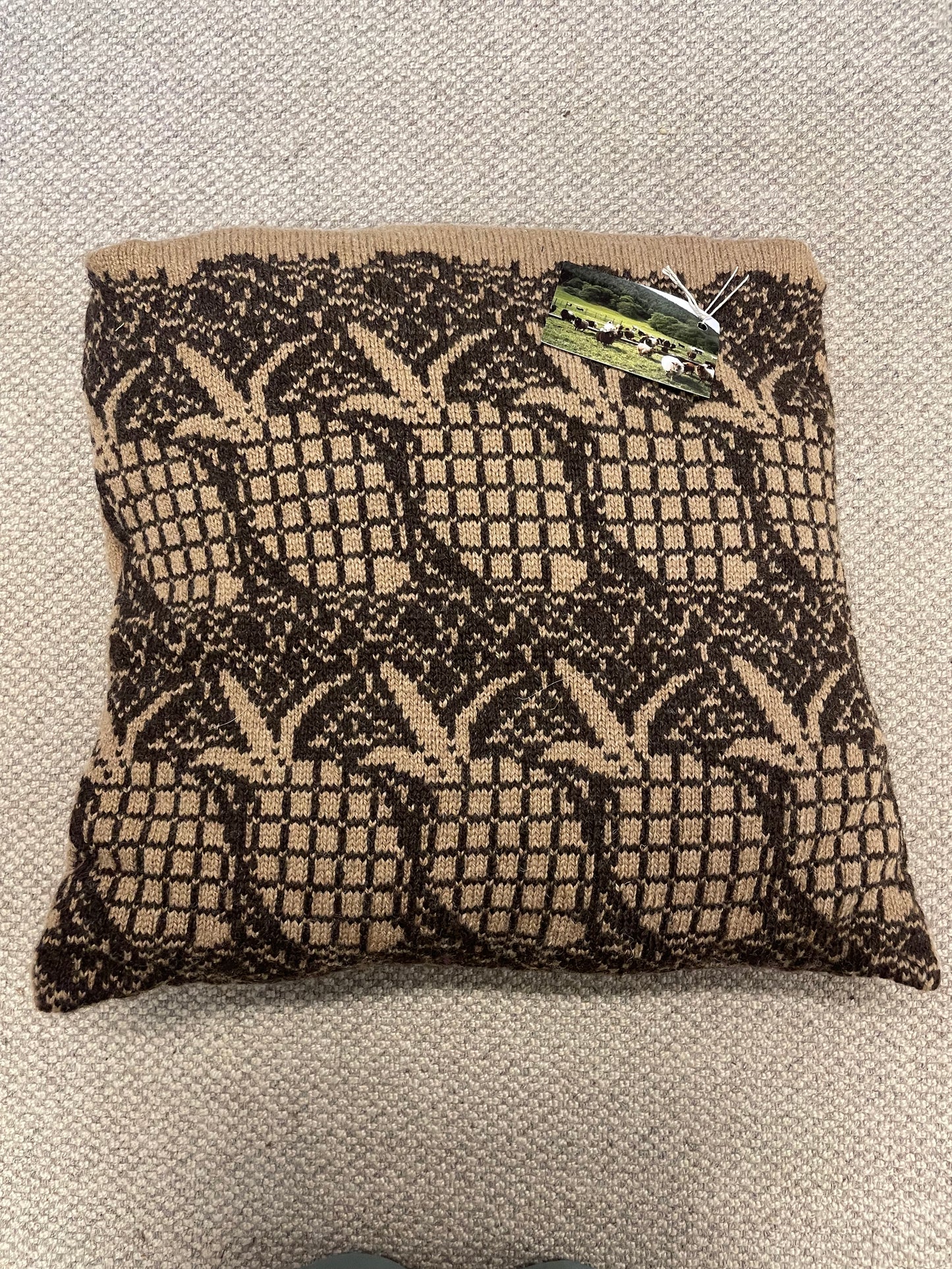 Woollen Pineapple Cushion