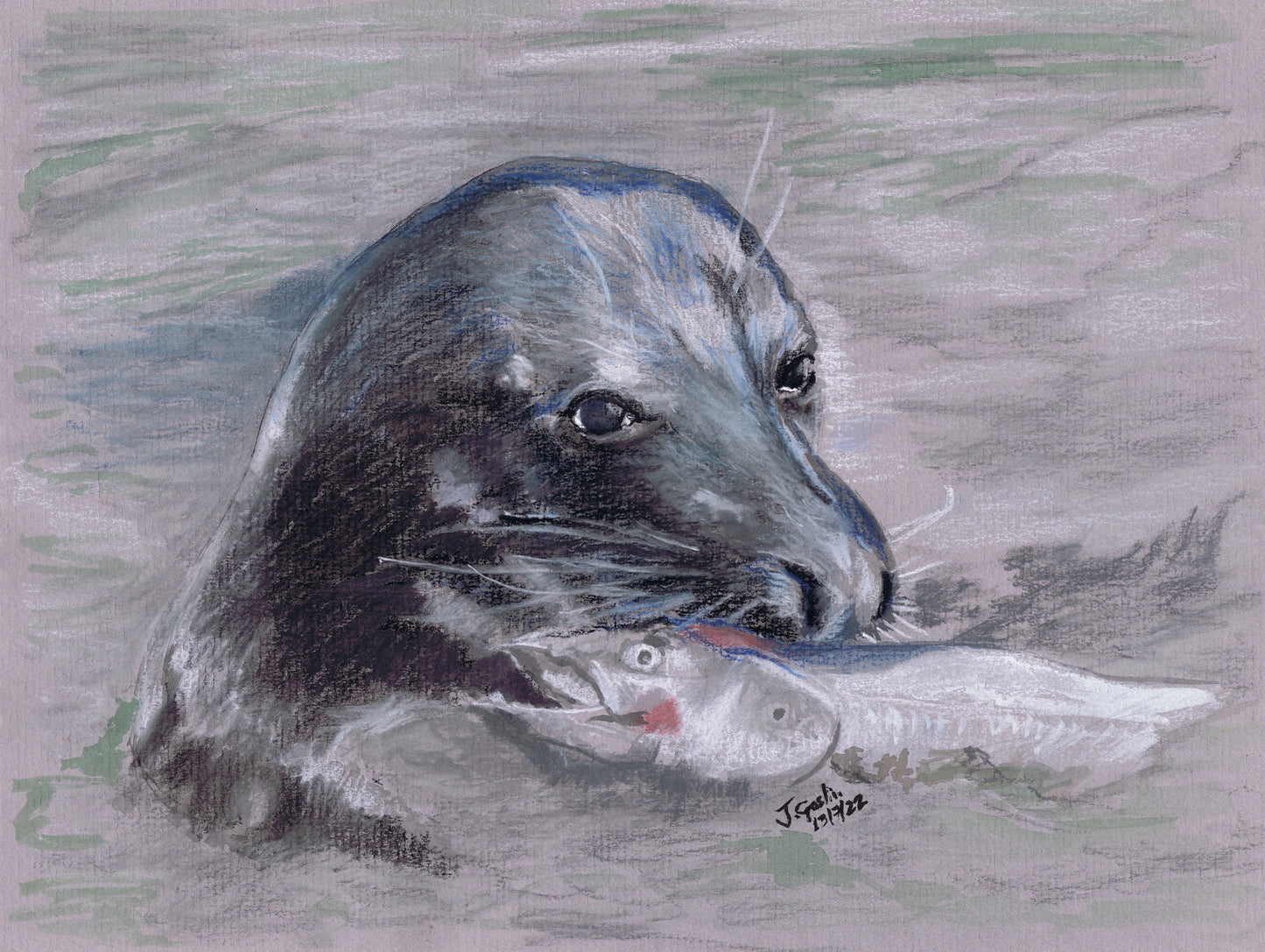 Sammy the Seal