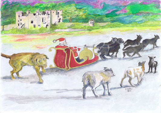 Santa's Aurora Borealis