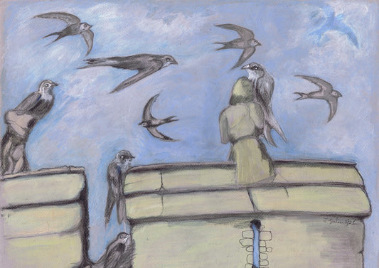 The Flight of the Swifts