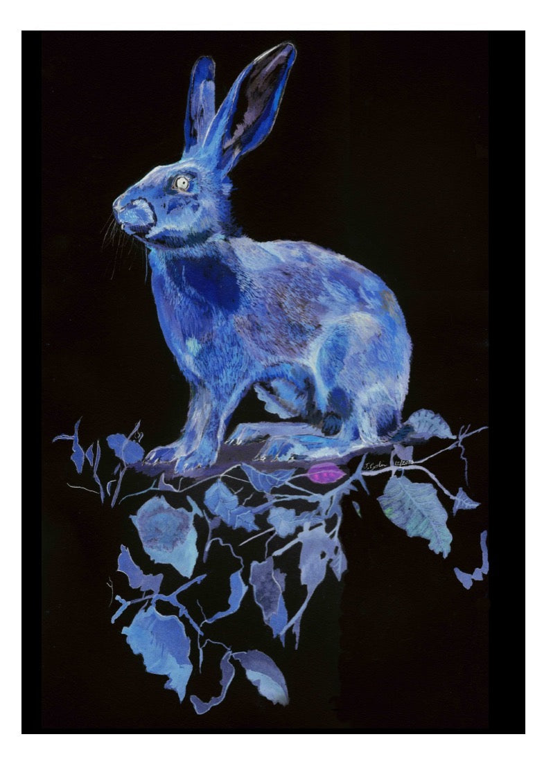Snow Hare A5 Blank Greeting Card