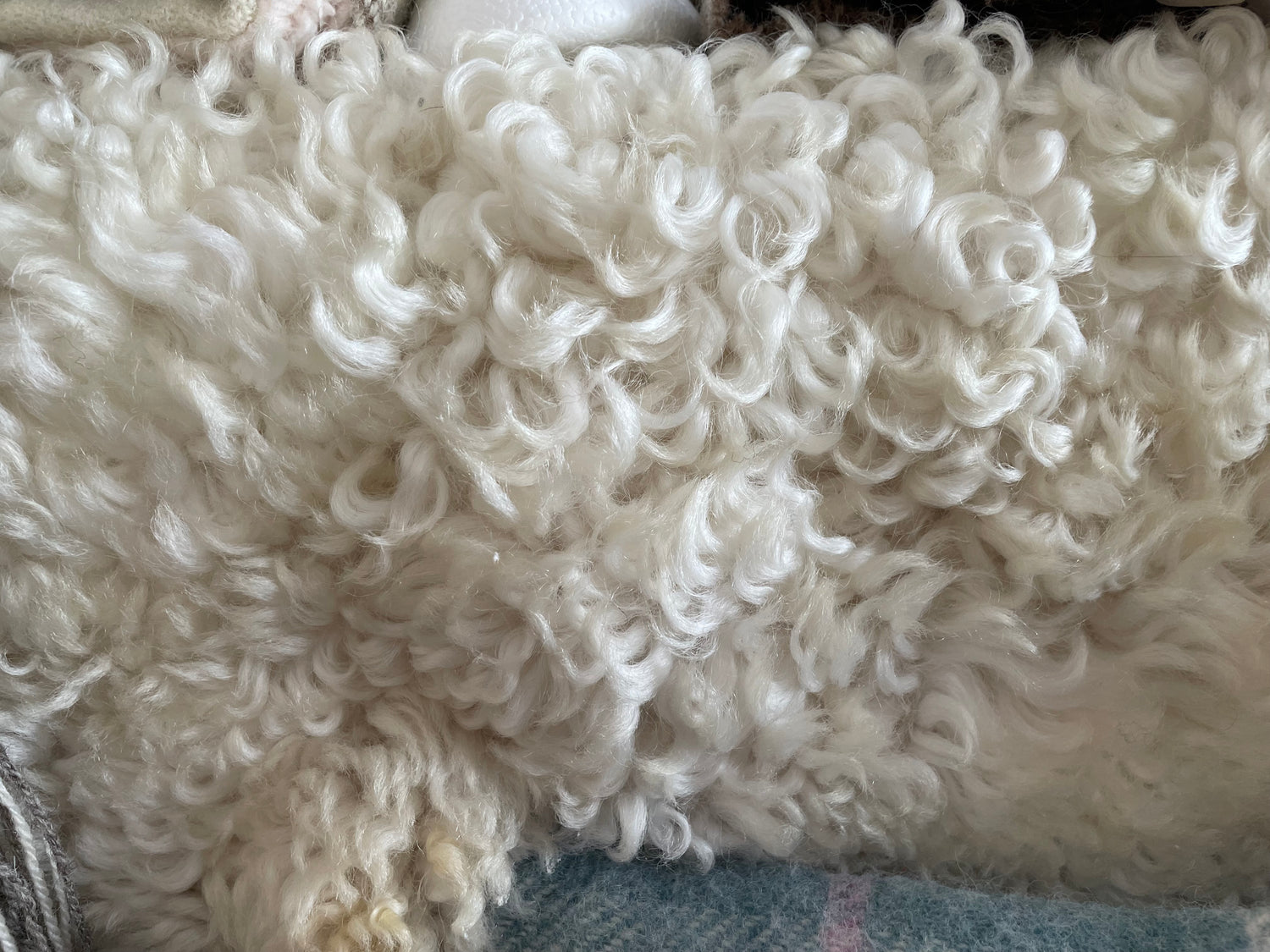 Rare Breed Sheepskins