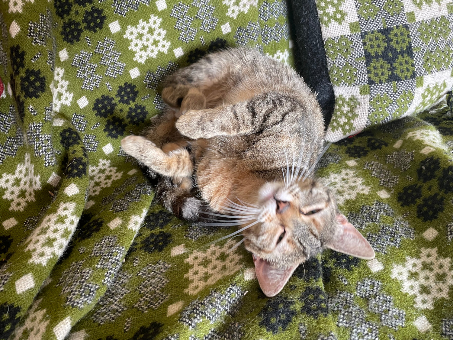 Blankets and Throws
