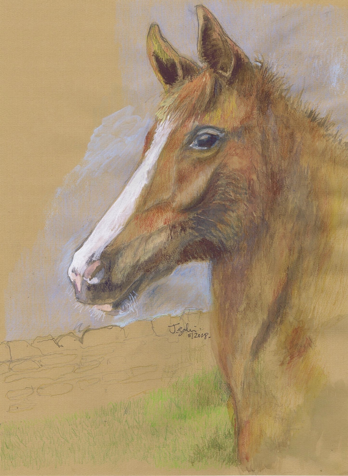 Welsh Cob Filly A5 Blank Greeting Card