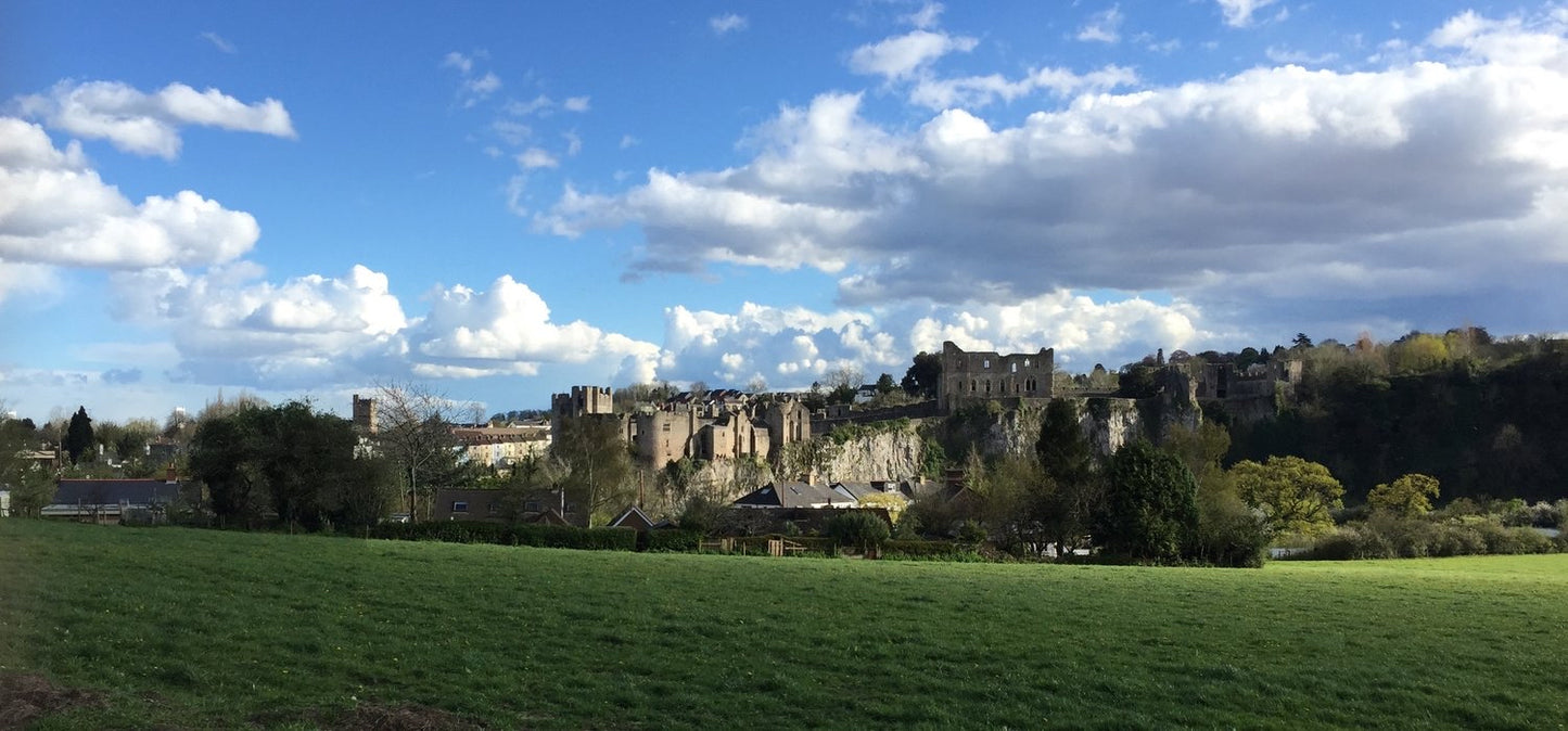 Chepstow Castle and Castle Terrace  A5 Print