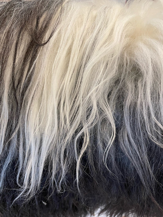 Dollis One-Off Large Natural Grey and Cream Icelandic Sheepskin Rug