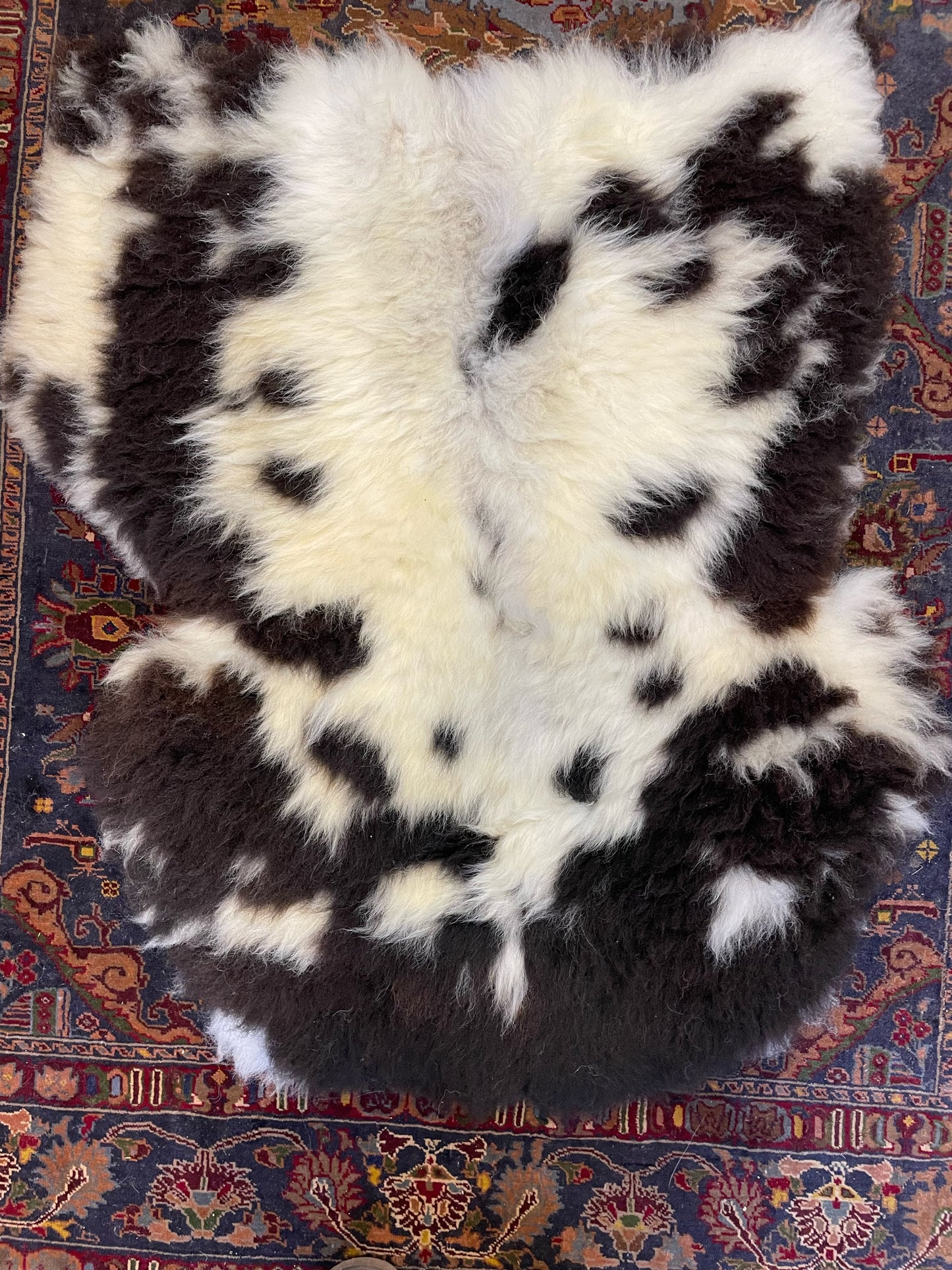 Jacob Breed British Sheepskin Rug