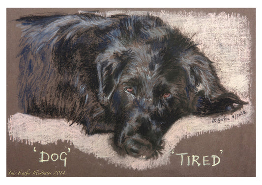 Dog Tired A5 Blank Greeting Card