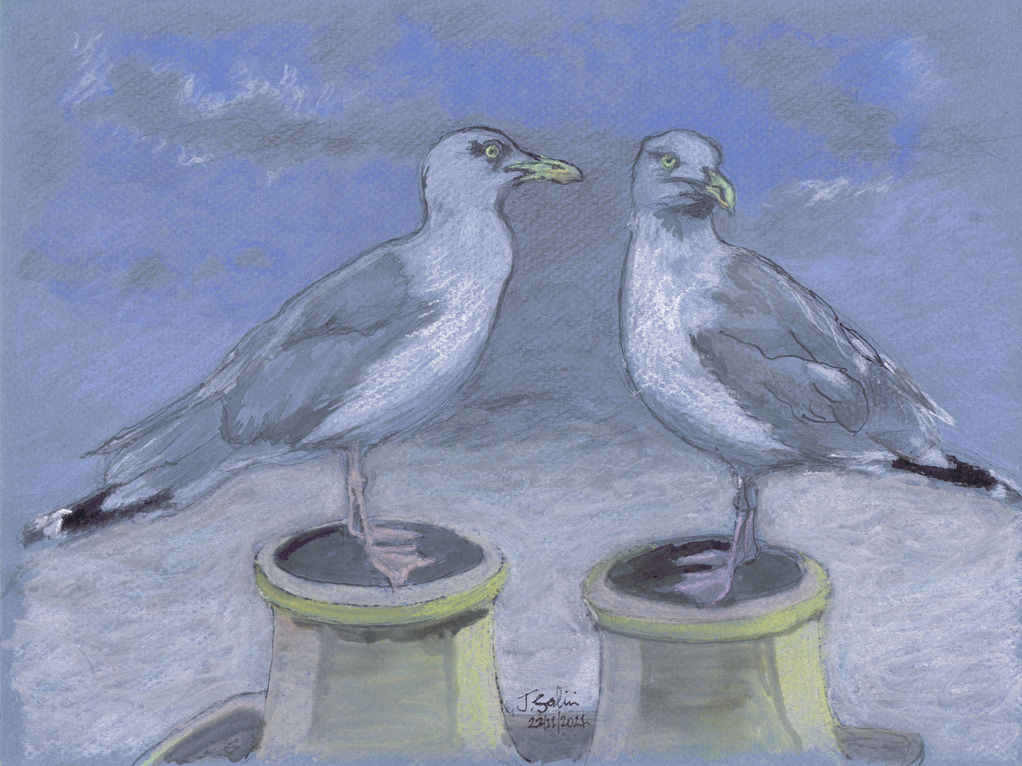 Potty Gulls A5 Blank Greeting Card