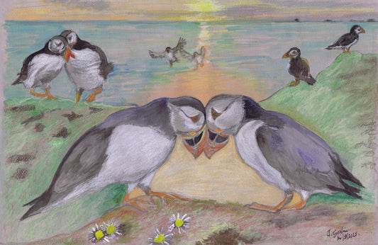 Puffin Love On Skomer Island A5 Blank Greeting Card