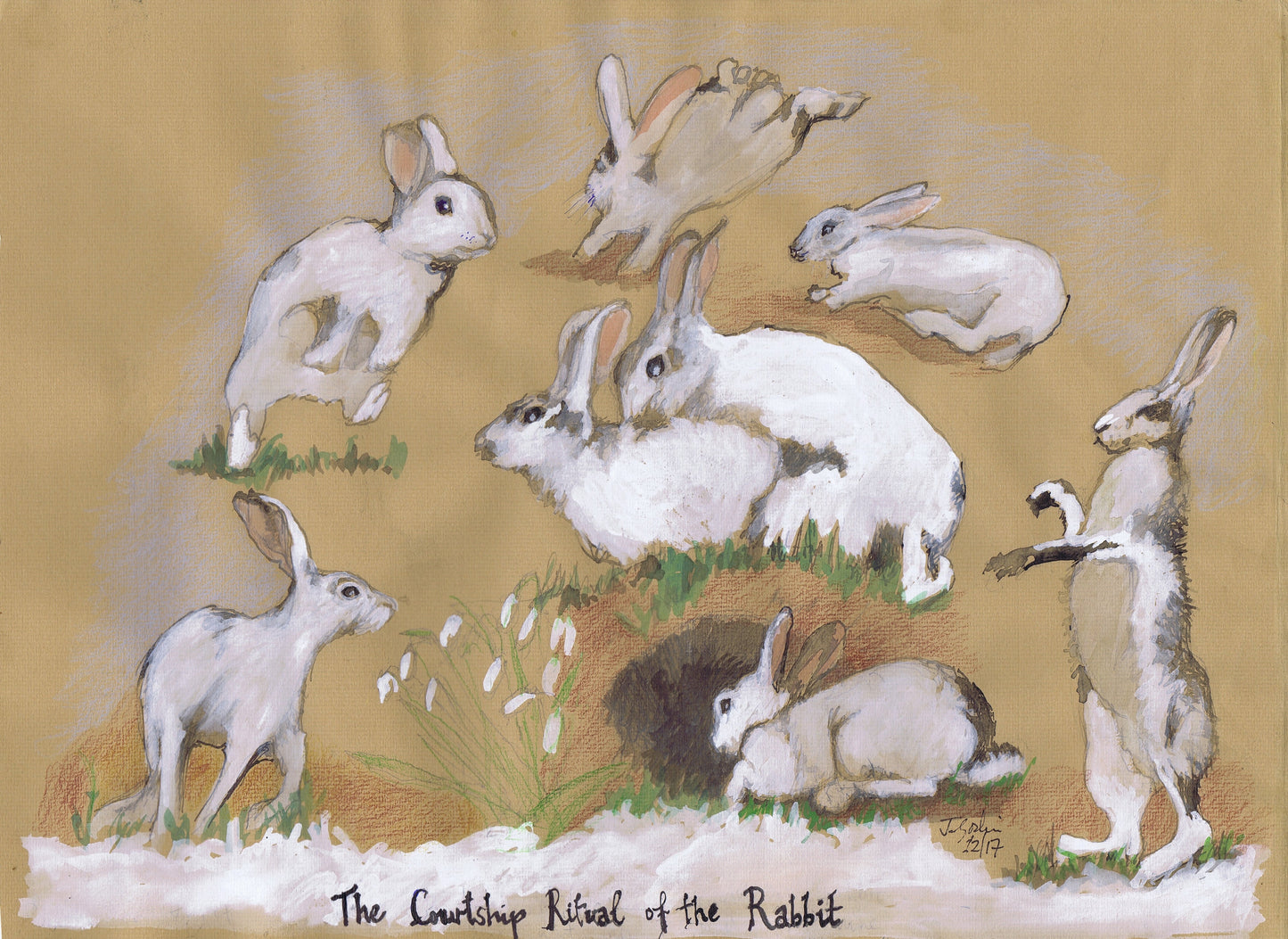 The Courtship Ritual of the Rabbit A5 Blank Greeting Card